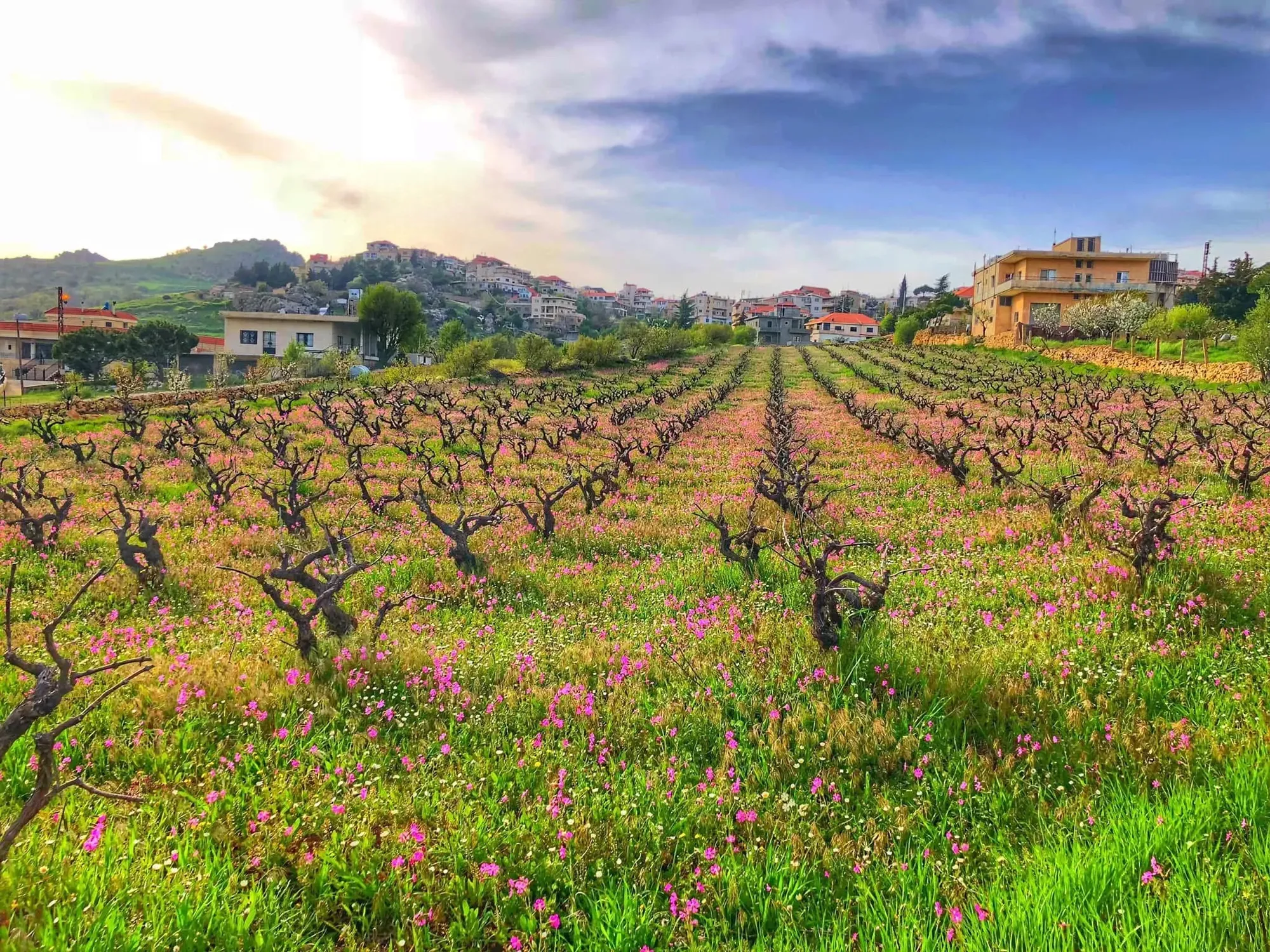 About Yanta Village